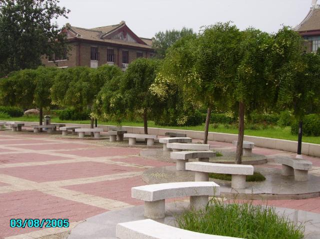 天津大學－北洋廣場一角