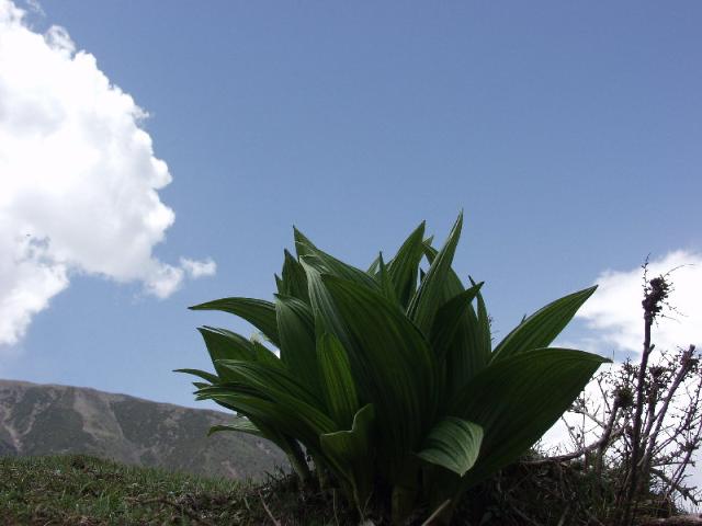 06藍(lán)天下