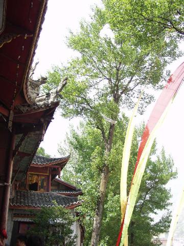 18觀音寺