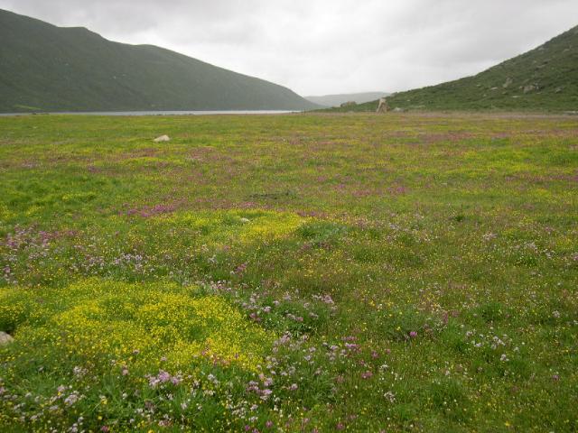 12.天氣稍好